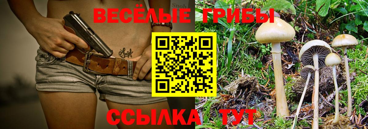 Балашов  Галлюциногенные грибы MAGIC MUSHROOMS  дарнет шоп  Вход с VPN  Псилоцибиновые грибы Psilocybe 